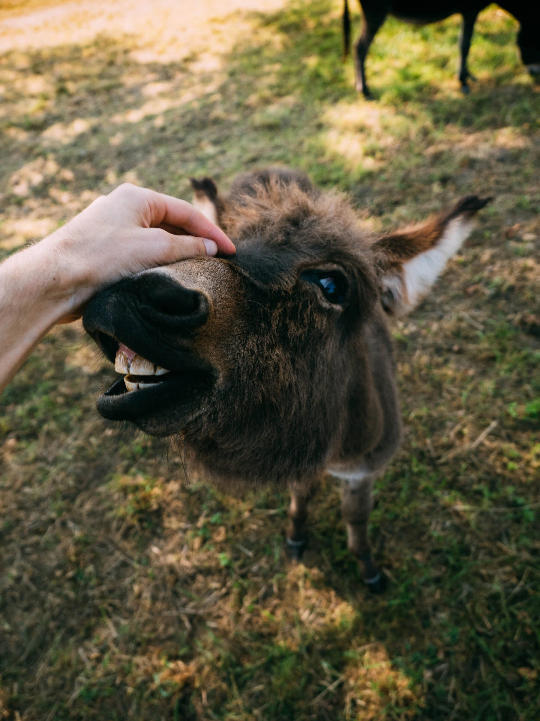 Photo by Brecht Denil on Unsplash
